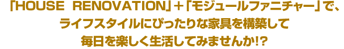 HOUSE  RENOVATION」＋「モジュールファニチャー」で、ライフスタイルにぴったりな家具を構築して毎日を楽しく生活してみませんか！？